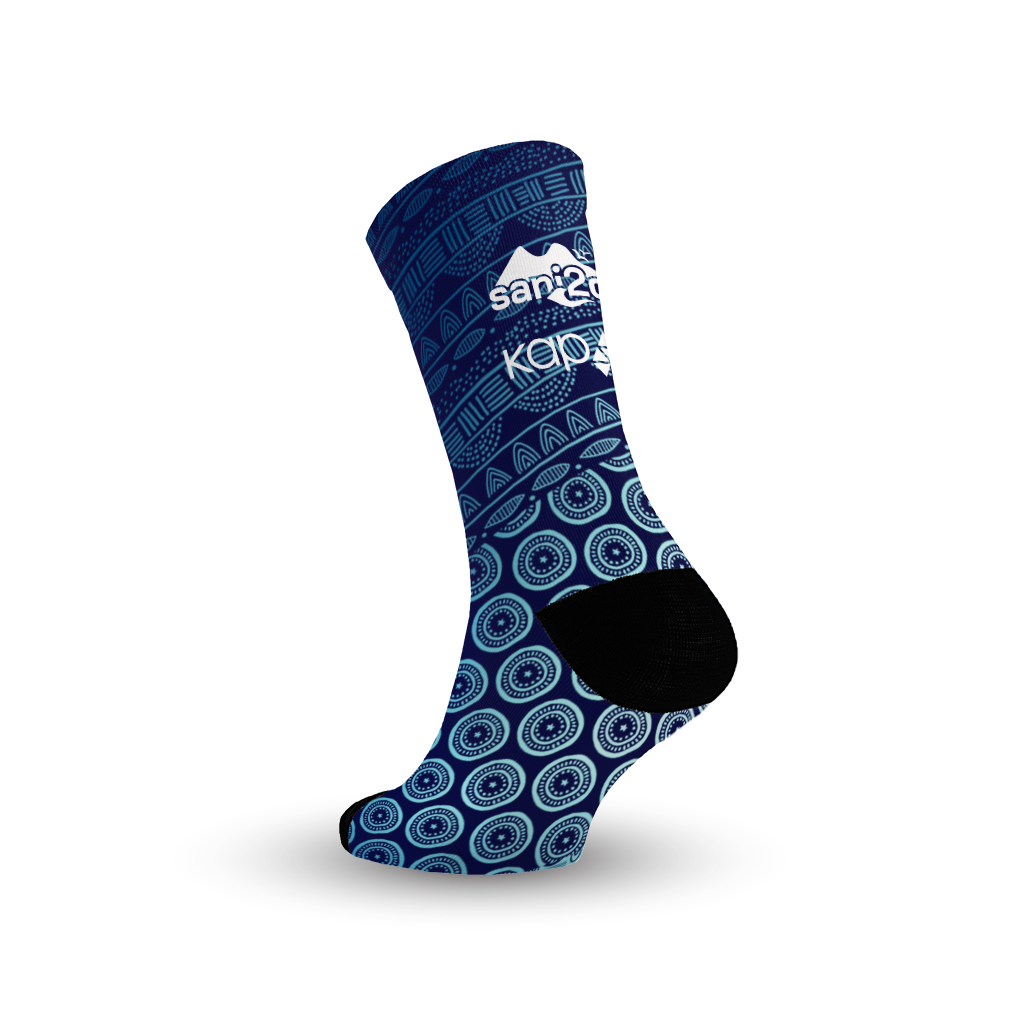 Sani2c Merch Sock Design 1